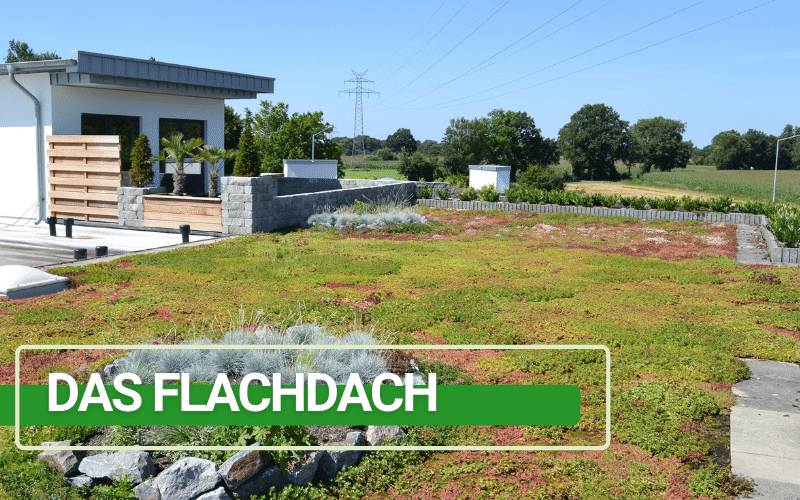 Gründach Flachdachbegrünung Banner - TOPGREEN-Gründachsysteme