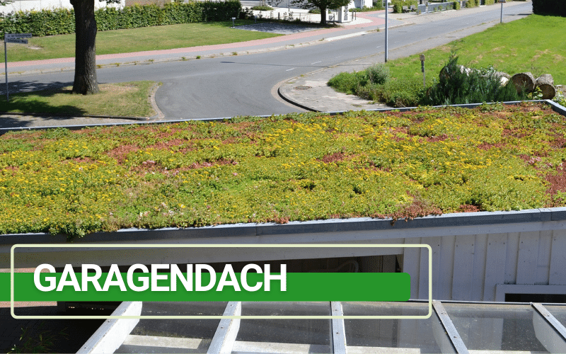 Gründach Garagendach selber begrünen Banner - TOPGREEN-Gründachsysteme